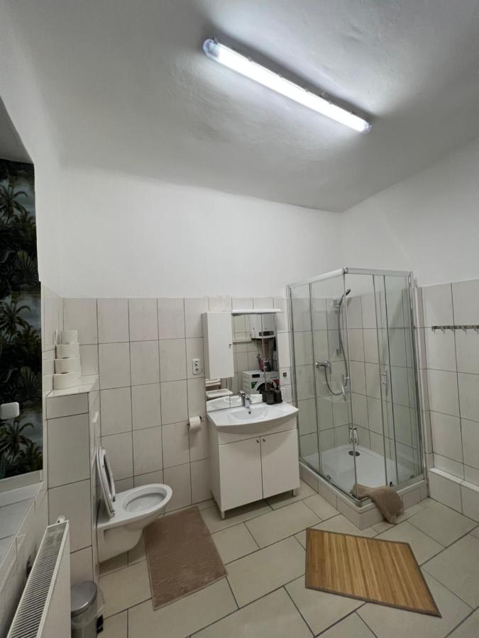 Spacious & Deluxe Big Apartment Near Prater فيينا المظهر الخارجي الصورة